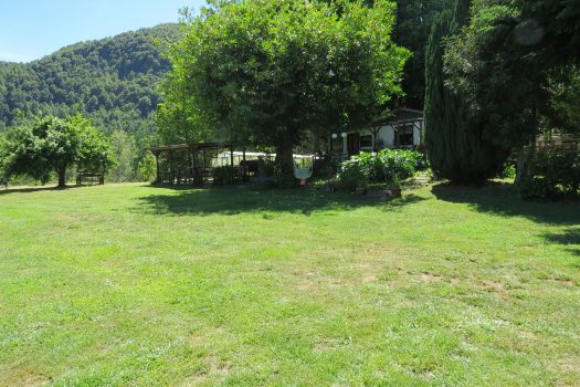 VENTA PARCELA SECTOR RELUN (VILLARRICA)