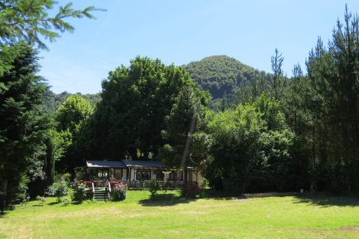 VENTA PARCELA SECTOR RELUN (VILLARRICA)