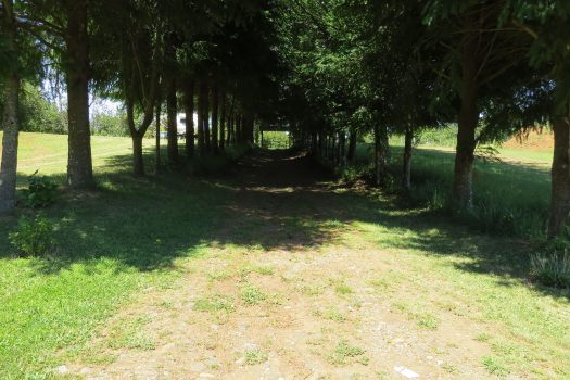 VENTA PARCELA SECTOR RELUN (VILLARRICA)