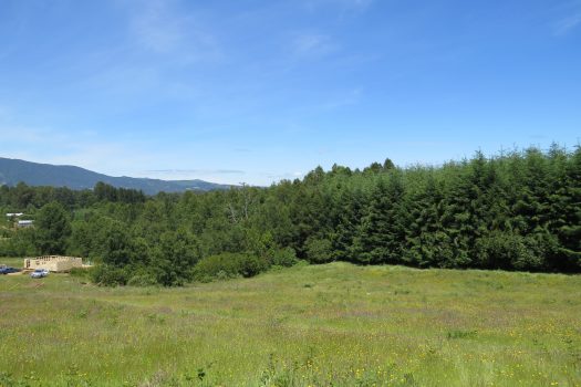 VENTA PARCELA SECTOR RELUN II (VILLARRICA)