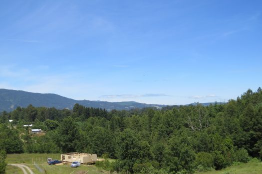 VENTA PARCELA SECTOR RELUN II (VILLARRICA)