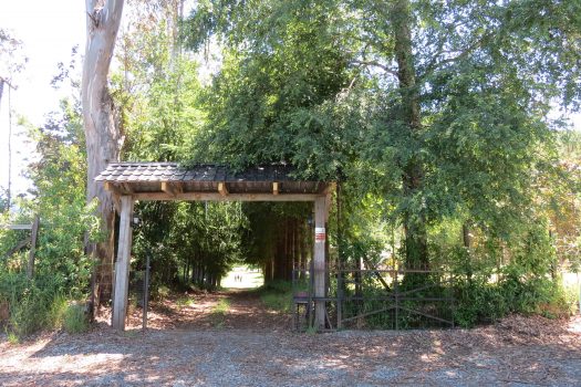 VENTA PARCELA SECTOR RELUN II (VILLARRICA)