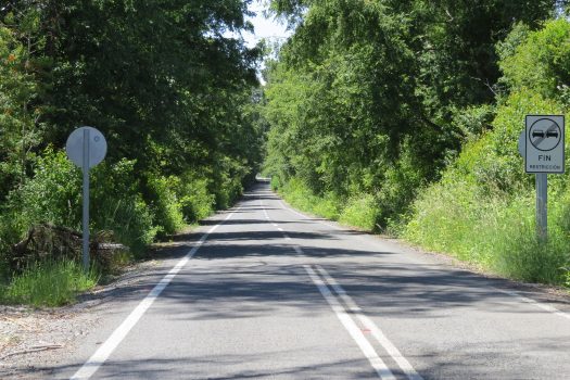 VENTA PARCELA SECTOR RELUN II (VILLARRICA)