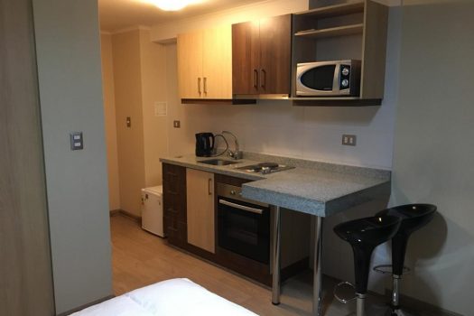 ARRIENDO DEPTO AMOBLADO EDIFICIO CENTRO LYNCH TEMUCO