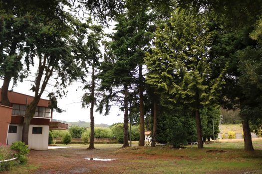 VENTA O ARRIENDO CENTRO DE EVENTOS TEMUCO