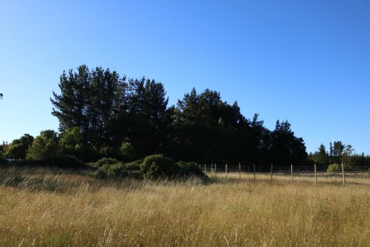 TERRENO HIJUELA N°4 LOTE 8 FREIRE