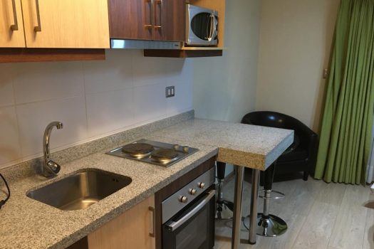 ARRIENDO DEPTO AMOBLADO EDIFICIO CENTRO LYNCH TEMUCO