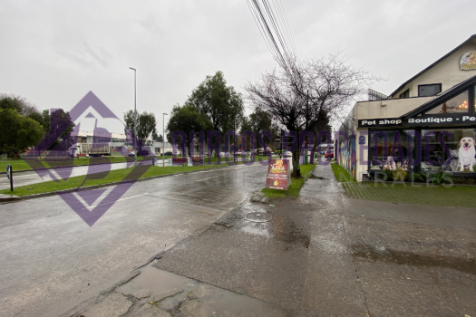 CASA COMERCIAL DE ALTA PLUSVALIA